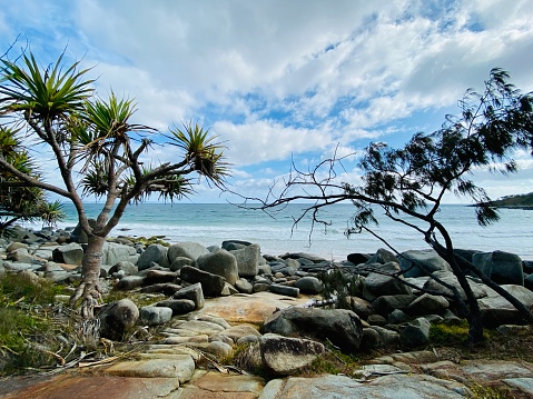Horizontal landscape photo of the blue Pacific Ocean, rock platforms, smooth grey granite boulders, a Casuarina tree and a Pandanus palm in Tea Tree Bay in the Noosa Heads National Park under a blue sky with white clouds on a sunny day in Summer