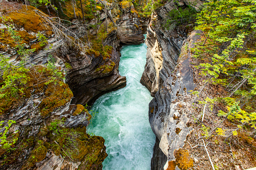 Teal flowing river rushing through a rocky gorge into aquamarine lake lined with pine trees
