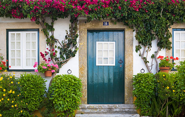 Teal front door of a cozy house with plants and flowers stock photo