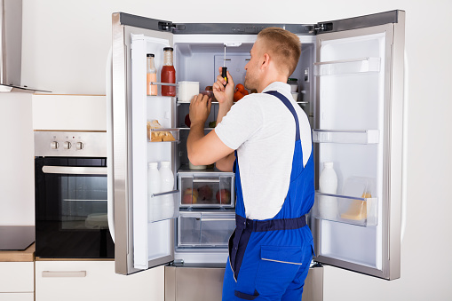 electrolux fridge services