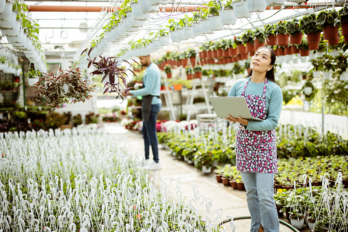 Asian woman using a laptop at a greenhouse to accept orders from customers on an online marketplace