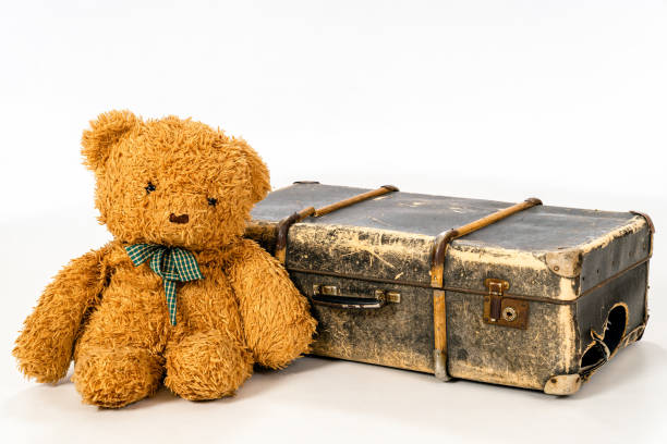 A teddy bear and an old suitcase A brown teddy bear with a green checkered ribbon sitting and leaning on an old worn demaged suitcase on a white background broken suitcase stock pictures, royalty-free photos & images