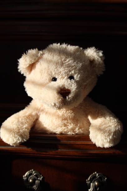 Teddy Bear Dreams One Sentient Teddy Bear in dresser drawer on black background teddy ray stock pictures, royalty-free photos & images