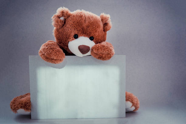 el oso de peluche sostiene el lienzo de la plantilla en blanco sobre un fondo gris - teddy ray fotografías e imágenes de stock