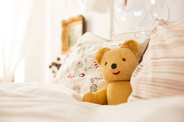 Royalty Free Teddy Bear Pictures, Images and Stock Photos - iStock