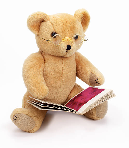 Image result for bear reading a book