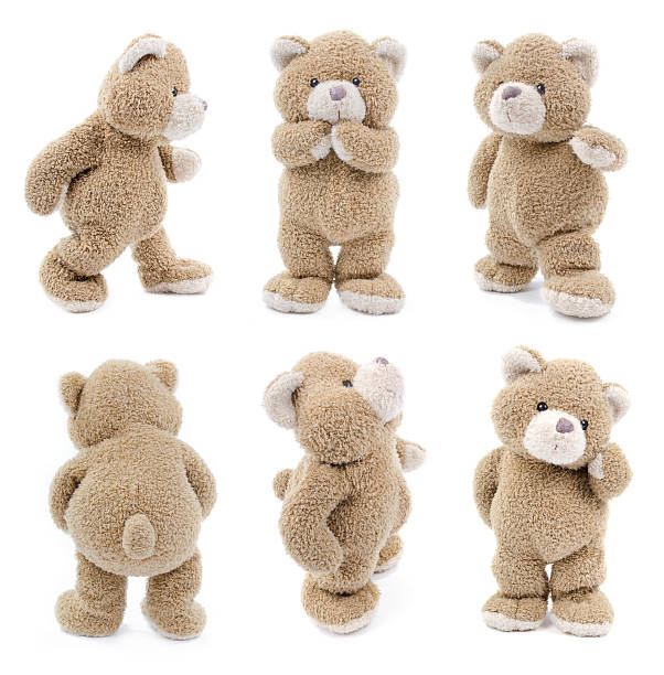 teddy bear set stock photo