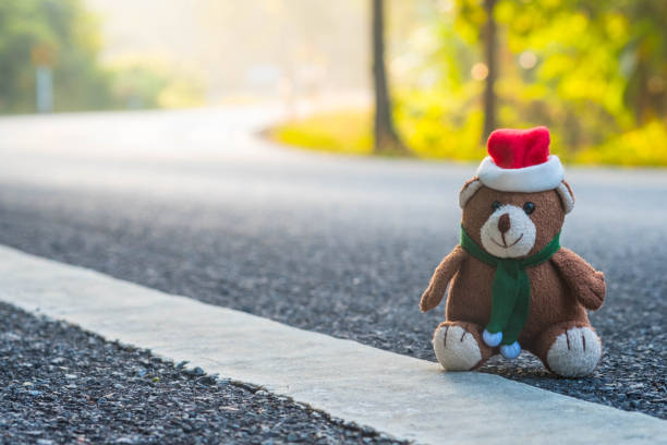 тедди медведь сидеть на малых и кривой встране или в глубинке дороги, когда солнце в утреннее время - teddy ray стоковые фото и изображения
