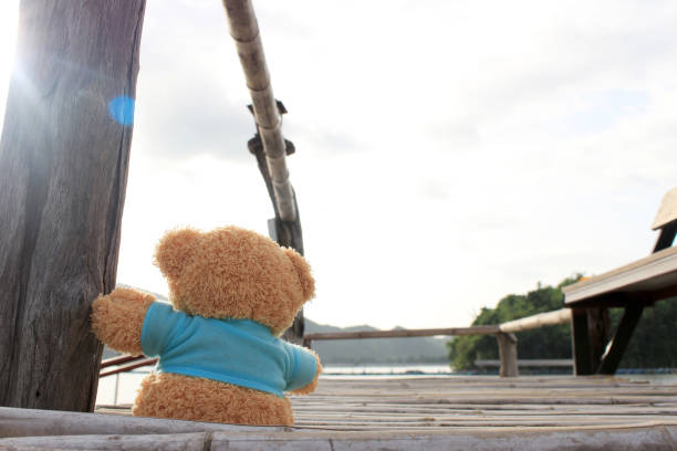тедди медведь сидит на бамбуковом мосту возле озера для ожидания кого-то - teddy ray стоковые фото и изображения