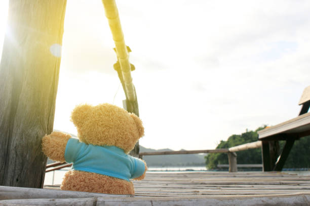 тедди медведь сидит на бамбуковом мосту возле озера для ожидания кого-то с взрывом восхода света, мечта мягкий стиль - teddy ray стоковые фото и изображения