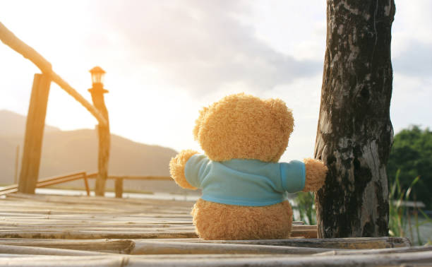 тедди медведь сидит на бамбуковом мосту возле озера для ожидания с взрывом восхода света, мечта мягкий стиль - teddy ray стоковые фото и изображения