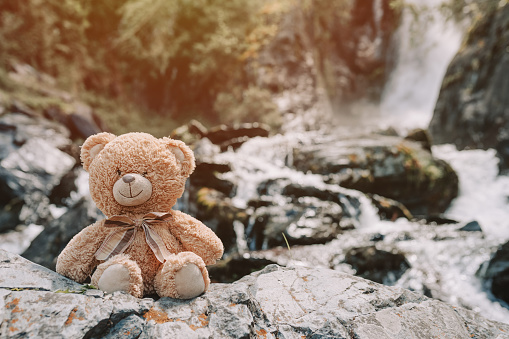 teddy bear sitting on stone at waterfall