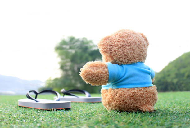 oso de peluche sentado en la hierba. concepto sobre el amor y esperando a alguien. - teddy ray fotografías e imágenes de stock