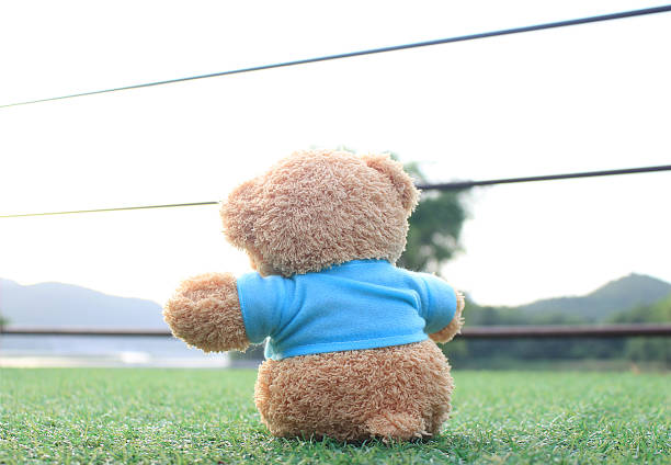 Teddy bear sitting on the grass . Concept about love Teddy bear sitting on the grass . Concept about love and waiting for someone. teddy ray stock pictures, royalty-free photos & images