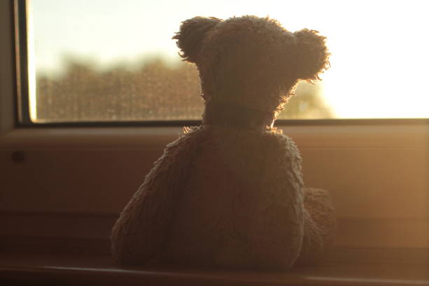 Teddy bear watching a sunset Closeup of a teddy bear on a window sill with sunset in the background. teddy ray stock pictures, royalty-free photos & images