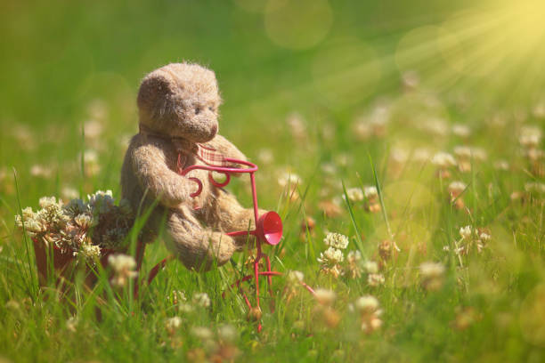 Teddybear Riding a Pink Tricycle Teddybear riding a pink toy tricycle in a meadow of clover. teddy ray stock pictures, royalty-free photos & images