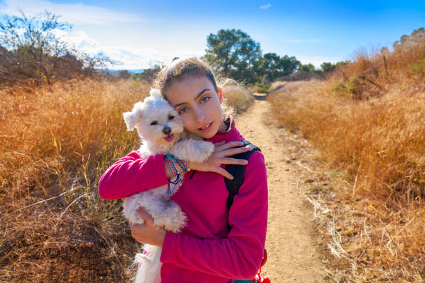Teen girl hug Maltese dog maltichon in outdoor Teen girl hug maltichon in outdoor mediterranean beautiful young brunette girl playing with her dog stock pictures, royalty-free photos & images