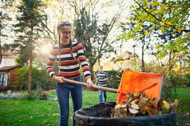 Teenage girl composting autumn leaves Kids raking autumn leaves in back yard. Teenage girl is composting the autumn leaves.
Nikon D850 compost stock pictures, royalty-free photos & images