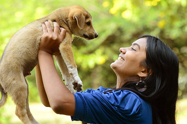 Teenage girl playing with puppy dog stock photo