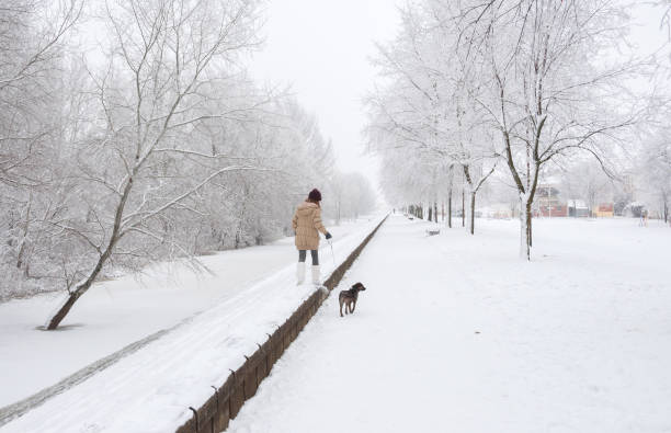 Teenage girl walking dog in winter snow Teenage girl walking her dog in the winter snow in December. early morning dog walk stock pictures, royalty-free photos & images