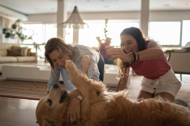Teenager girl and woman playing with dog dog mom stock pictures, royalty-free photos & images