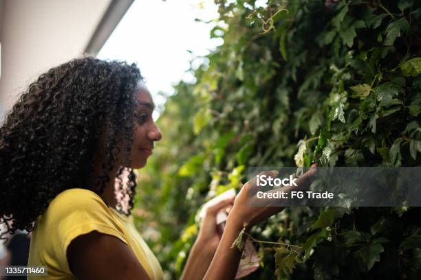 Teenager girl watering plants outdoors