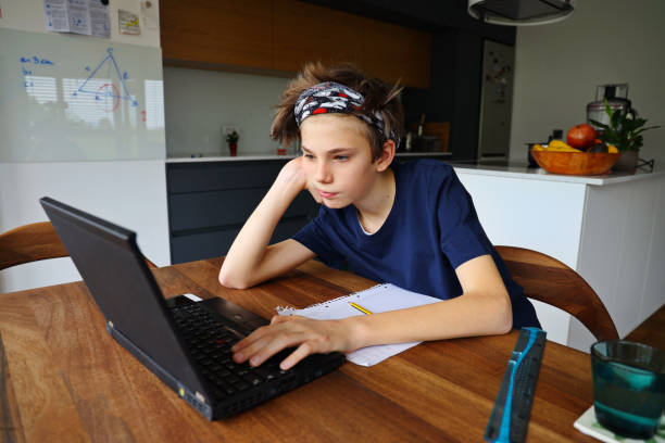 Teenager studying at home stock photo