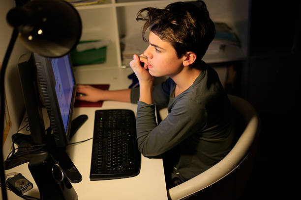 Teenager working his homework on a computer stock photo