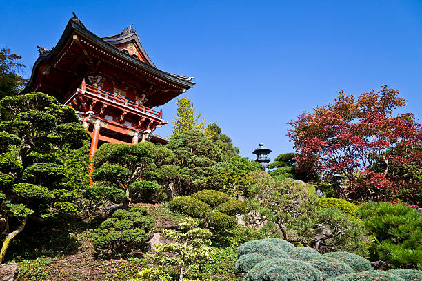 Japanese Tea Garden San Francisco Bilder Und Stockfotos Istock