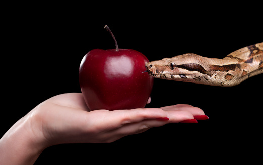 Female holding red apple and snake, photographed over black background.
