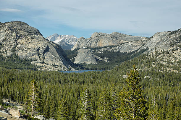 Tenaya lake in Tioga Pass, Yosemite stock photo