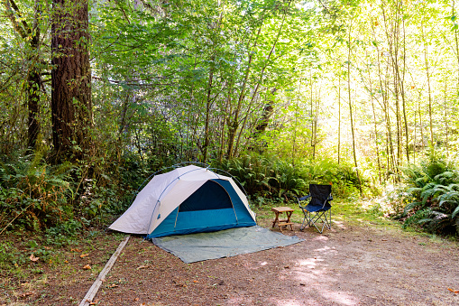 This is a wide angle photograph of a small dome camping tent setup at a Del Norte Campground in Redwoods National Park, California, USA.