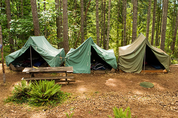 Tents At Boy Scout Camp A group of canvas tents at a campground at the Camp Parsons boy scout camp in Washington. Some of the scouts' things like sleeping bags are just visible through the open tent flaps. boy scout camping stock pictures, royalty-free photos & images