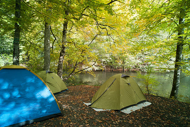 Tents set up for camping in the woods Tents set up for camping in the woods boy scout camping stock pictures, royalty-free photos & images