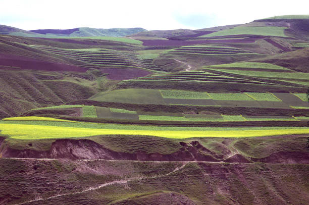 Terraces and agricultural fields on the Loess Plateau of Inner Mongolia China stock photo