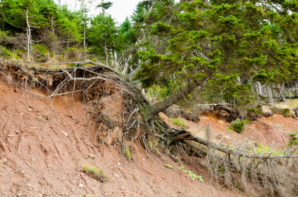 Terrain Landslide stock photo