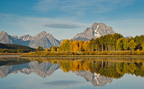 Tetons and Fall Colors Reflected in the Snake River The Snake River flows quietly through the Jackson Hole Valley. In many places the water is so calm and glassy that a perfect reflection of the Teton Range is often seen. This picture of the Tetons and fall foliage was taken from Oxbow Bend, a very popular place for photographers. Oxbow Bend is in Grand Teton National Park near Jackson, Wyoming, USA. jeff goulden reflection stock pictures, royalty-free photos & images