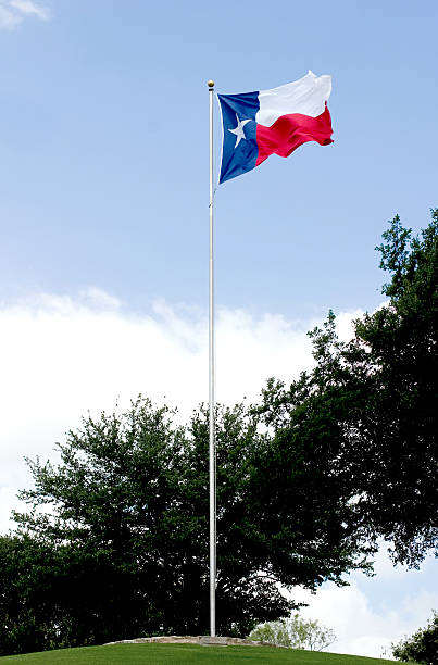 Texas Flagpole5 stock photo