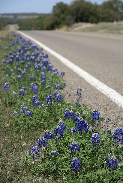 Texas highway stock photo