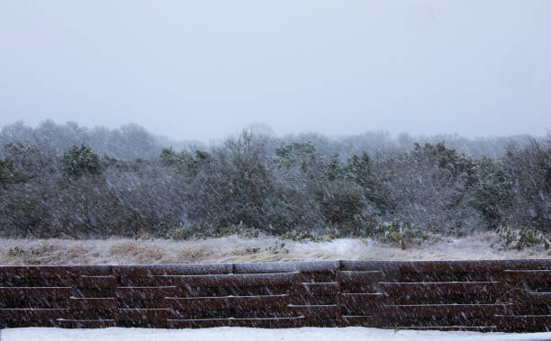 Texas snow storm stock photo