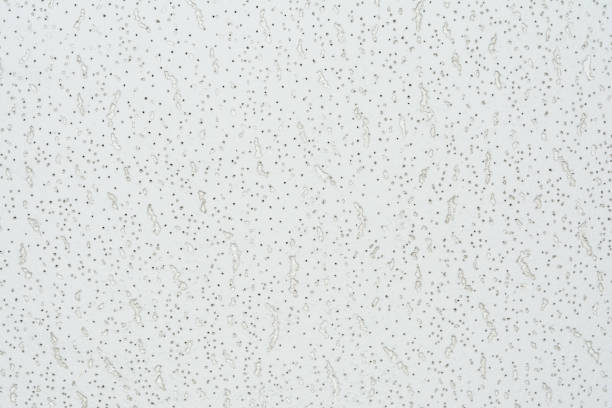 price to remove popcorn ceiling denver