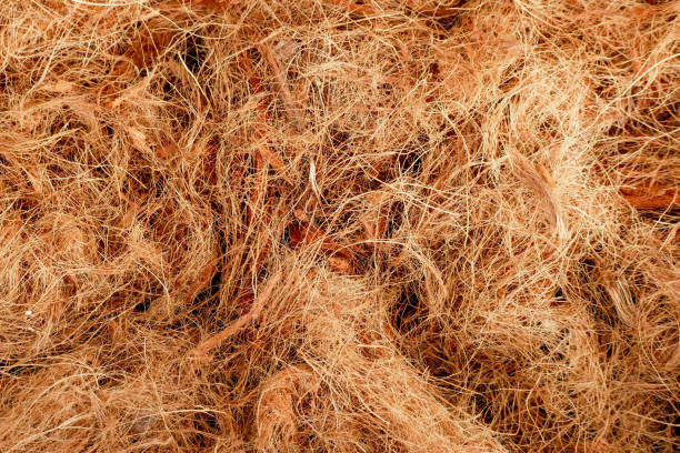 texture Coconut fiber abstract background stock photo
