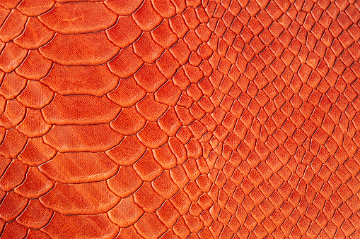 Texture of genuine rough leather close-up, imitation of the skin of scaly exotic reptile, fashion bright orange red color, modern background
