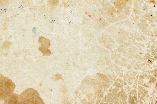 texture of old moldy paper with dirt stains, spots, inclusions cellulose, brown cardboard texture background, grunge vintage background - processo de envelhecimento imagens e fotografias de stock