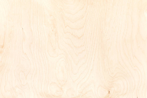 textur von sperrholz-board. hochdetaillierte natürliche muster hintergrund - birken stock-fotos und bilder