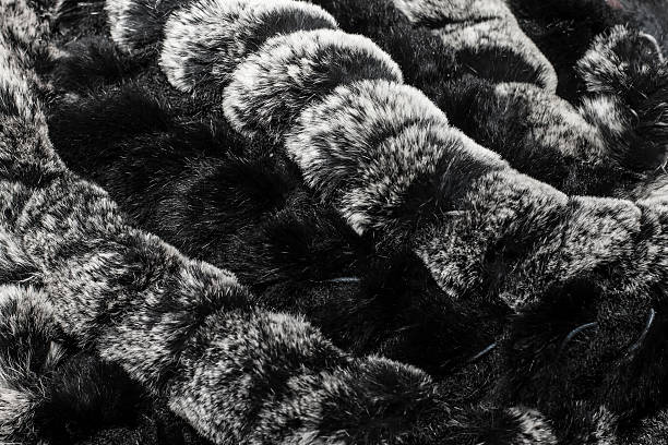 texture of the fur, fur, winter fashion wear, stock photo