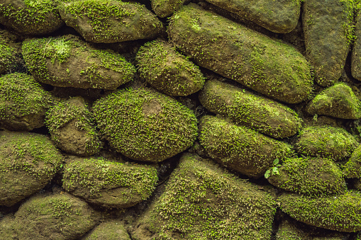 texture of the old stones and moss in the Bali style.