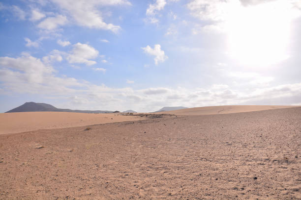 Texture Sand Dune Desert stock photo