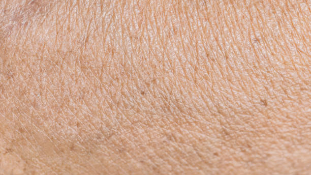 texture wrinkled of old human skin texture and wrinkled detail of old human skin in close-up macro shot human skin close up stock pictures, royalty-free photos & images