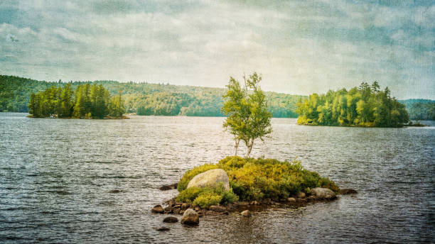 A textured treatment of a lone tree on a small island in Rock Island Bay, Tupper Lake, the Adirondacks, NY Stylized landscape image tupper lake stock pictures, royalty-free photos & images